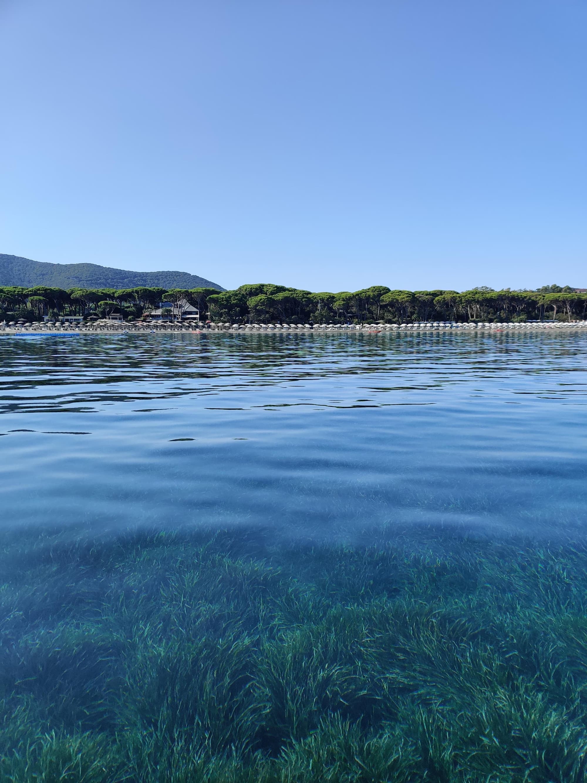 Appartamenti sul mare Punta Ala, sul porto turistico