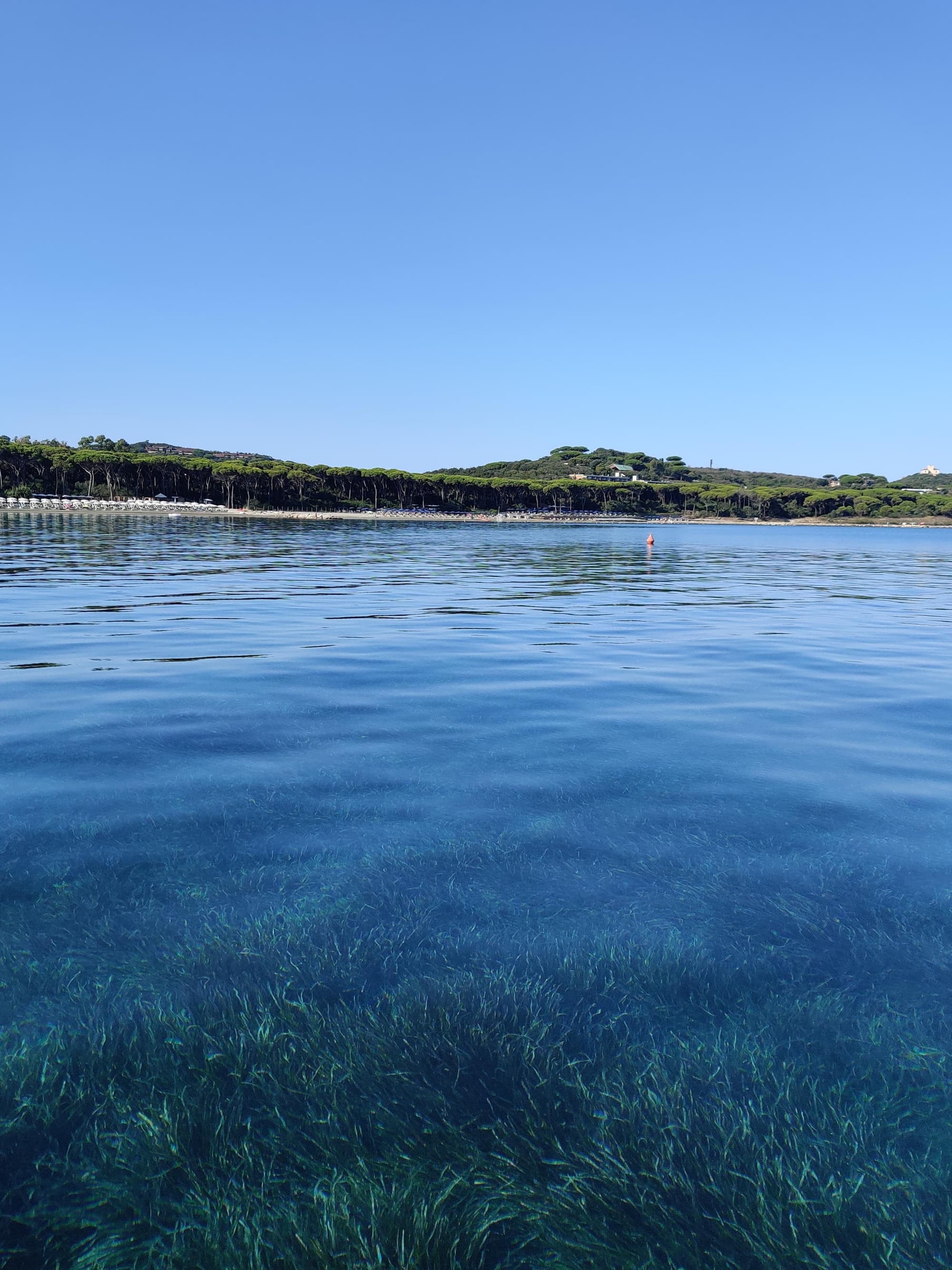 Appartamenti sul mare Punta Ala, sul porto turistico